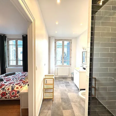 Affittacamere Maison De Maître Rénovée - Elégant - Confort - Centre De