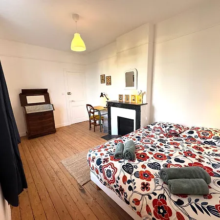 Maison De Maitre Avec 4 Independantes - Centre - Jardin *