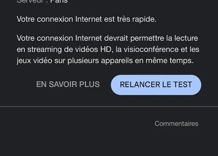 Maison De Maitre Avec 4 Independantes - Centre - Jardin