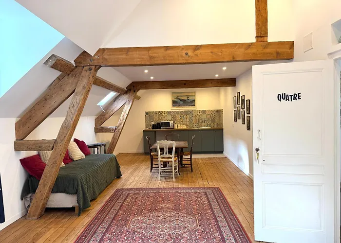 Gasthuis Maison De Maitre Avec 4 Independantes - Centre - Jardin