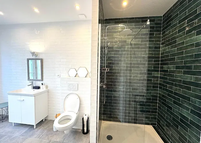 Maison De Maitre Avec 4 Independantes - Centre - Jardin